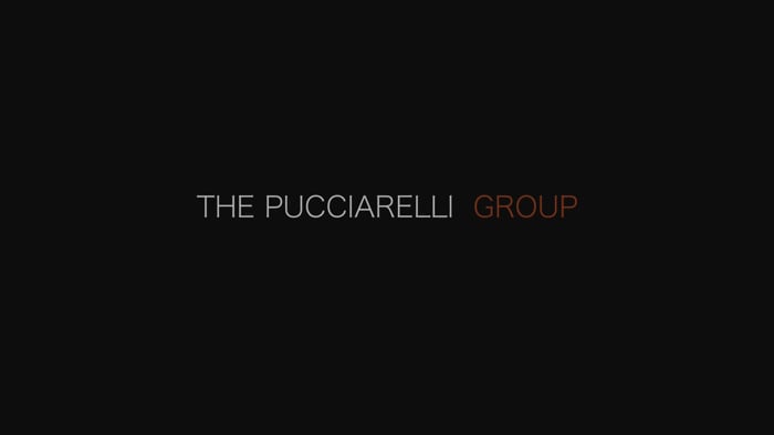 The Pucciarelli Group
